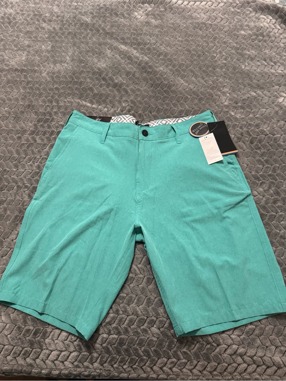 Trunks Men's Teal Casual Shorts
